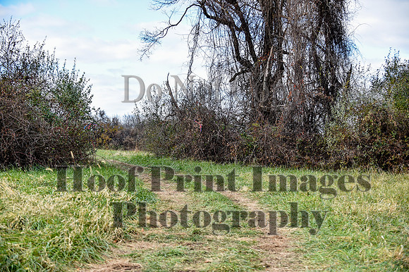 FairHillPCSaturday(11-27-21)0167