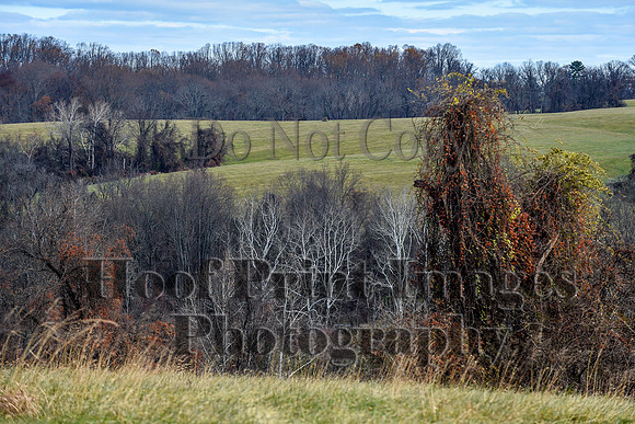 FairHillPCSaturday(11-27-21)0170