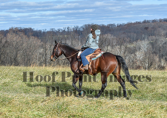 FairHillPCSaturday(11-27-21)0372