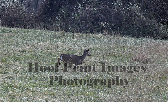 FairHillPCSaturday(11-27-21)0373