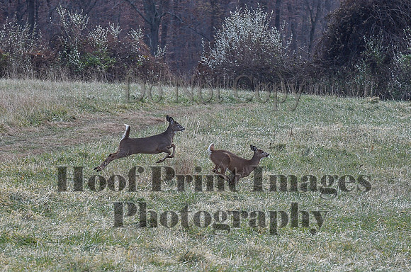 FairHillPCSaturday(11-27-21)0376