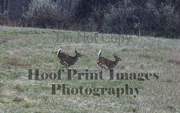 FairHillPCSaturday(11-27-21)0377