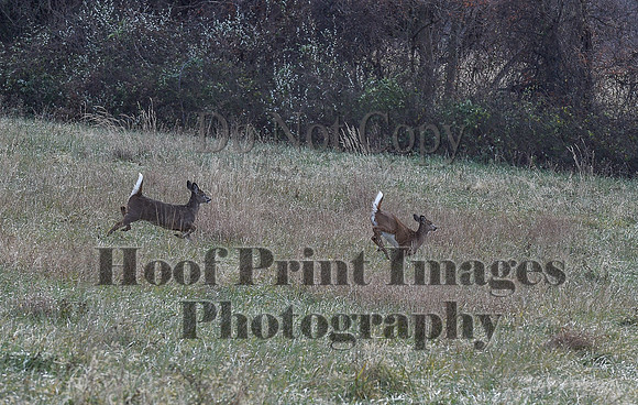 FairHillPCSaturday(11-27-21)0379
