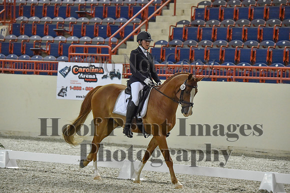 CWdressageI(8-20-16)0522