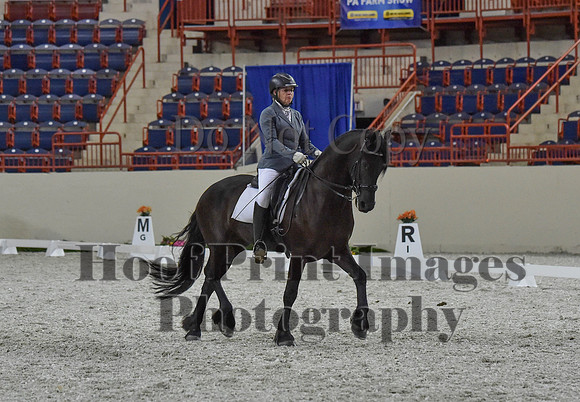 CWdressageI(8-20-16)1216