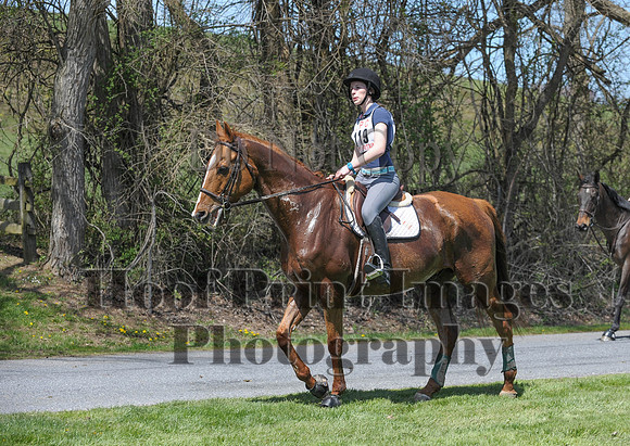 CheshirePC(4-16-16)0406