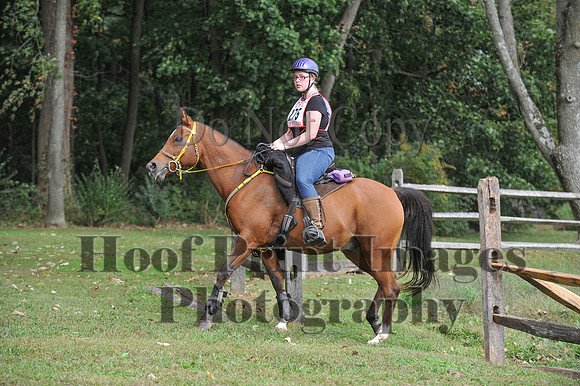 CheshirePC(10-16-16)0477