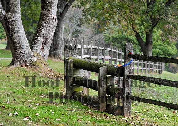 CheshirePC(10-16-16)0409