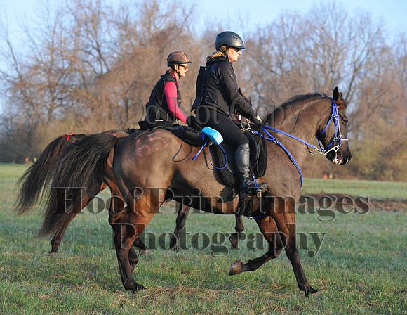 Foxcatcher(4-12-14)0266