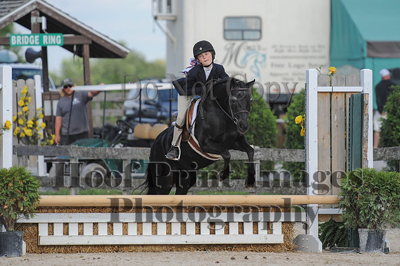 BRSa(5-17-14)SMChP0042