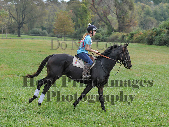 CheshirePC(10-16-16)0030