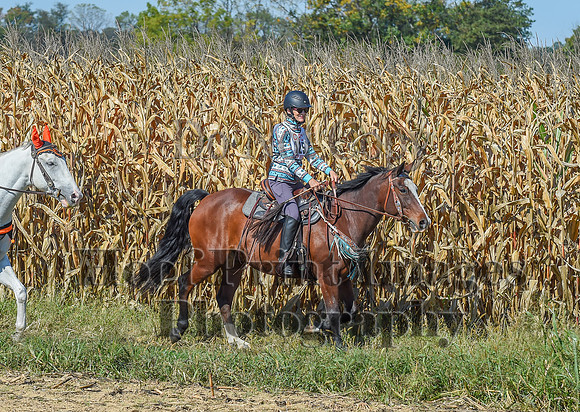 CheshirePonyClubPC(10-6-24)0419