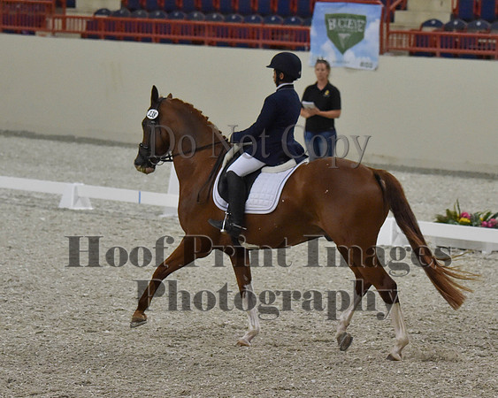 CWdressageII(8-21-16)1197