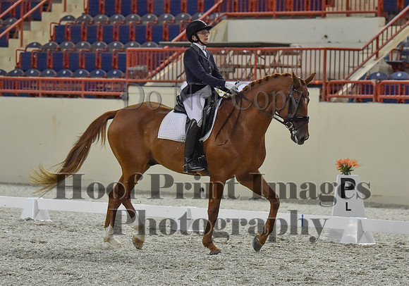 CWdressageI(8-20-16)1248
