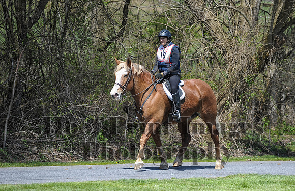 CheshirePC(4-16-16)0375