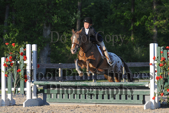 BRSa(5-17-14)SMChP0100