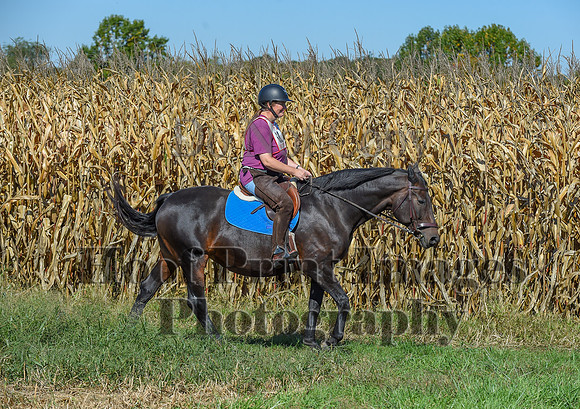 CheshirePonyClubPC(10-6-24)0240