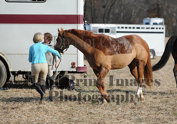 AndrewsBr(11-9-14)0683