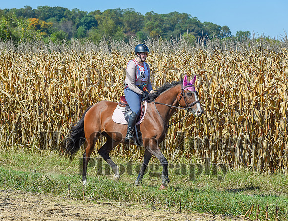 CheshirePonyClubPC(10-6-24)0492