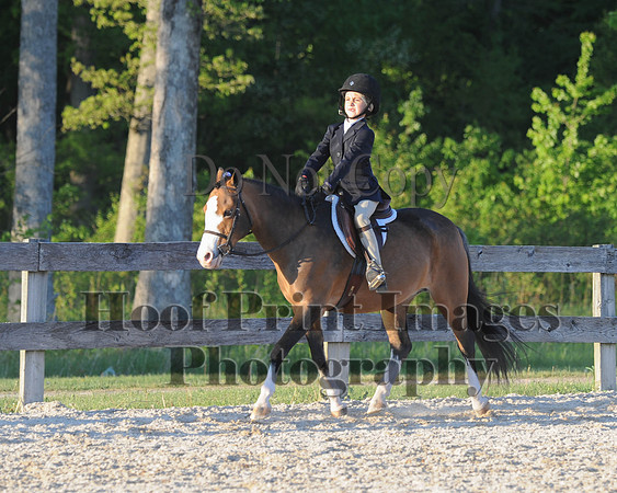 BRSa(5-17-14)SMChP0108