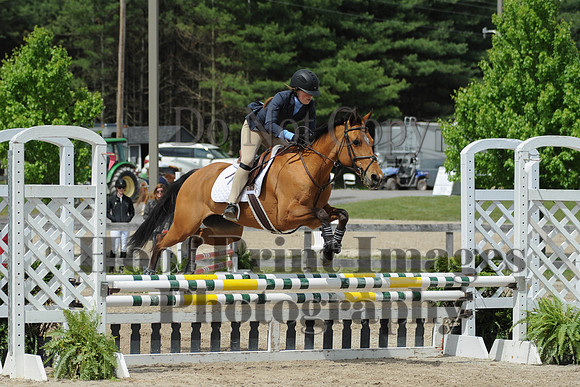 BRSa(5-17-14)0.8mJCl0071