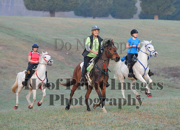Foxcatcher(4-12-14)0059