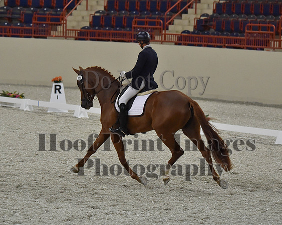 CWdressageII(8-21-16)1345