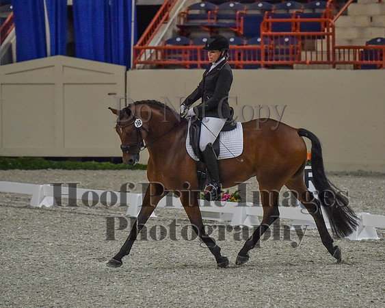 CWdressageII(8-21-16)0150