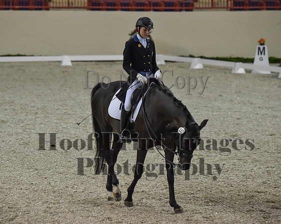 CWdressageII(8-21-16)0681