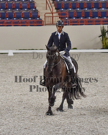 CWdressageI(8-20-16)0294