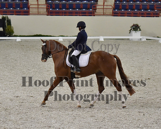 CWdressageII(8-21-16)2008