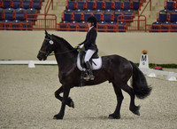 CWdressageI(8-20-16)0050