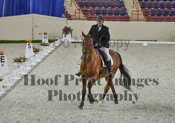 CWdressageI(8-20-16)0225