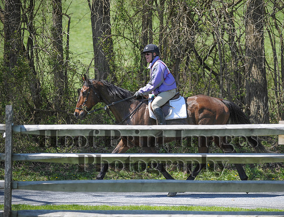 CheshirePC(4-16-16)0565
