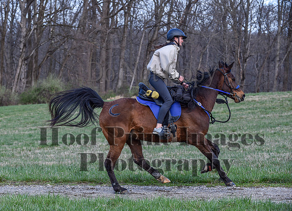 ChesapeakeSpring(4-10-22)0332