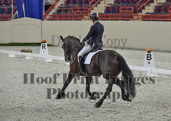 CWdressageI(8-20-16)0304
