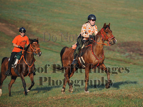 Foxcatcher(4-12-14)0526
