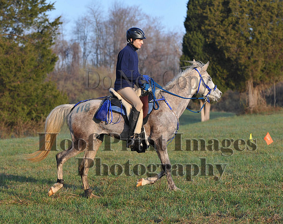 Foxcatcher(4-12-14)0420