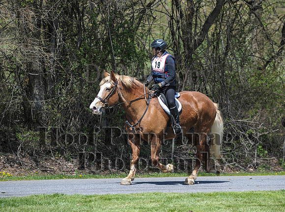 CheshirePC(4-16-16)0377