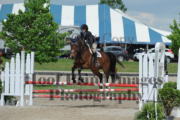BRSa(5-17-14)0.8mJCl0059