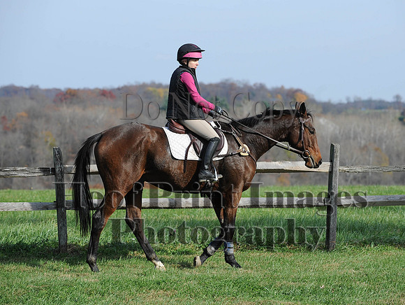 AndrewsBr(11-9-14)0434