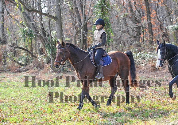 AndrewsBr(11-9-14)0579