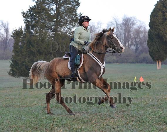 Foxcatcher(4-12-14)0033
