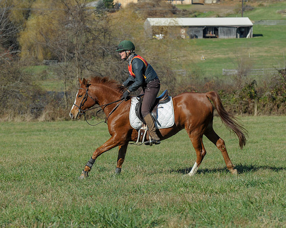 BHPC(11-15-15)0553