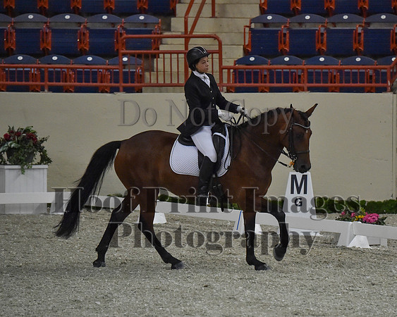 CWdressageII(8-21-16)0488
