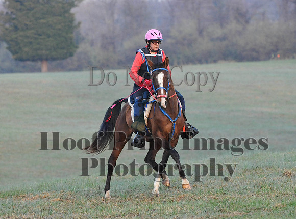 Foxcatcher(4-12-14)0181