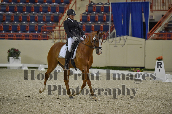 CWdressageI(8-20-16)0498