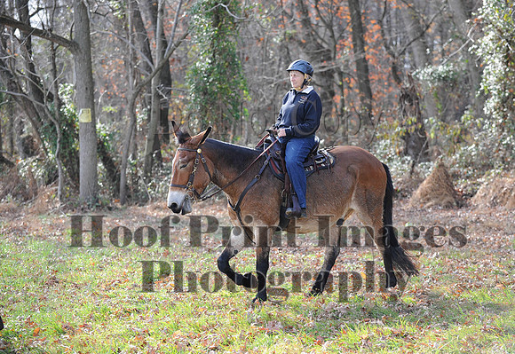 AndrewsBr(11-9-14)0574
