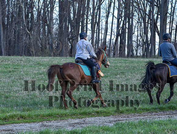 ChesapeakeSpring(4-10-22)0396