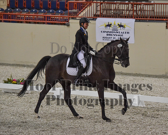 CWdressageII(8-21-16)0679